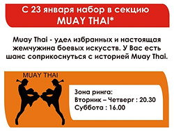 � 23 ������ ����� � ������ Muay Thai