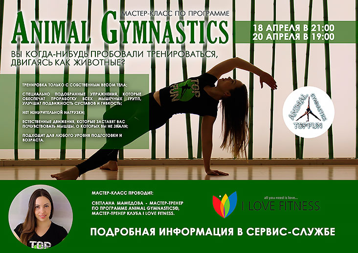 - Animal Gymnastics
