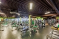 WeGym ������