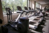 imagethumbs2/olimpic-fitness-medvedkovo-2026_001.jpg