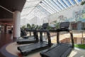 Crocus Fitness �������