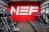 imagethumbs2/nef-dubrovka-2026_002.jpg