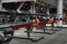 imagethumbs2/spirit_fitness_marino_2026_001.jpg
