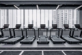 CROCUS FITNESS ������ �����