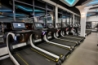 imagethumbs2/sssr-deguninot-fitness-club-2026-001.jpg