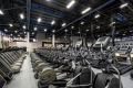 ALEX Fitness �����������