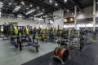 imagethumbs2/alex-fitness-kolomenskaya-2026_003.jpg