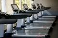Fitness One ����� ����