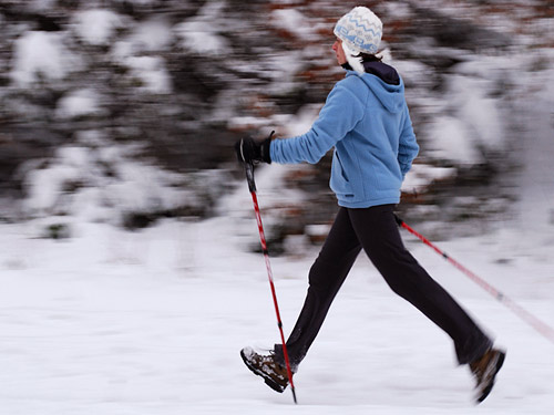 «Школа скандинавской ходьбы» проведет занятия на новогодних праздниках