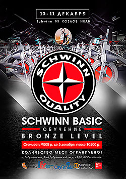Schwinn Basic Bronze Level