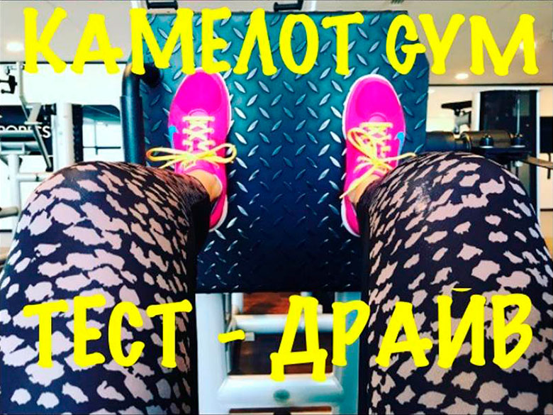   -  -  Gym!